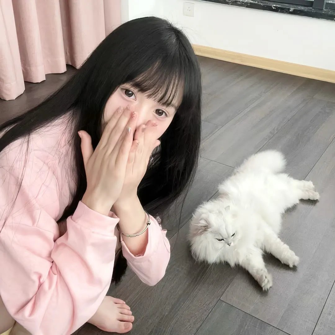 萌道捉妖记